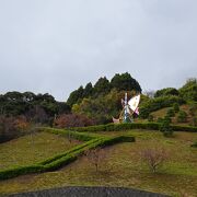 伊根の舟屋が一望できる公園