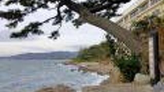 天気が良ければ気持ちよさそう