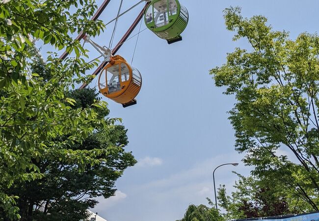 単なる道の駅じゃない！