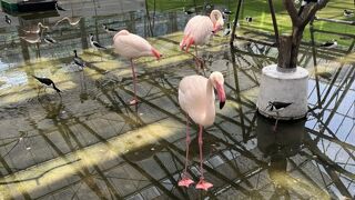 下手な動物園より楽しいです。