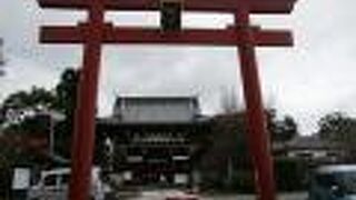 かわいい猫に癒されます♪