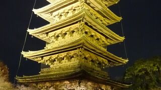 夜間拝観は幻想的