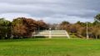 人間将棋が開催される公園