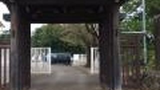 奈良県の桜井寺から移築した門が立派