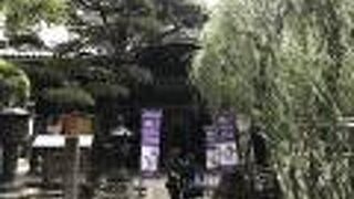 隣のビルで上階から見ると六角形なのがよくわかる