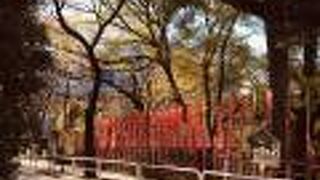 開成学園を突っ切る