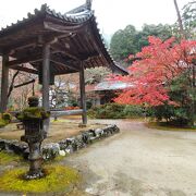 三尾のうち、槙尾にあるお寺