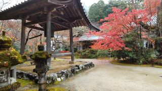 三尾のうち、槙尾にあるお寺