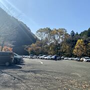 紅葉のピークを過ぎても素敵な遊歩道