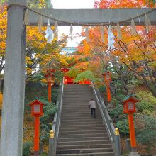 鳥居と紅葉