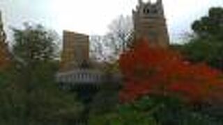 紅葉が綺麗でした