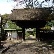 海岸禅寺です。