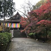 三井寺で、秋の紅葉