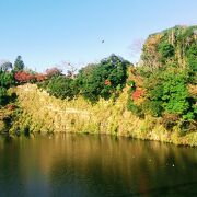 駅近で手軽な紅葉スポット