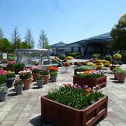 草津市烏丸半島にある植物園