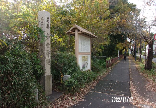 玉川上水の両岸にある桜並木です。