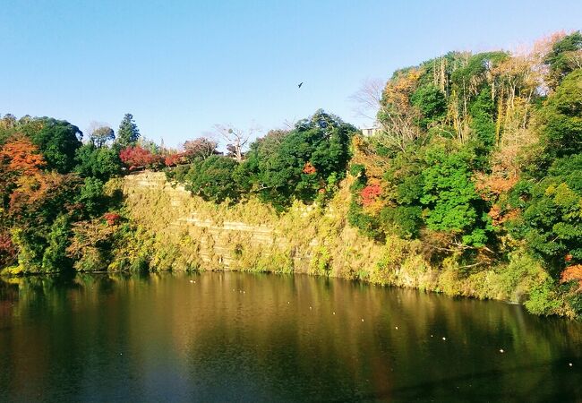 駅近で手軽な紅葉スポット