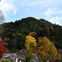 周辺の風景