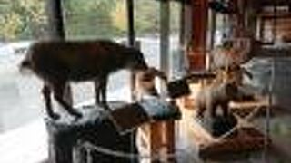 ジャンボタクシーというのもあります