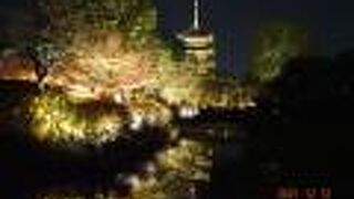 京都駅から向かった時の玄関口