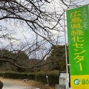 紅葉を楽しみに山の上の公園に行きました。