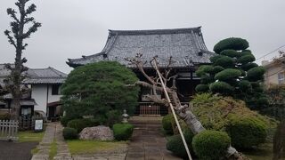 豊かな松なども並んでいて本堂が隠れぎみ