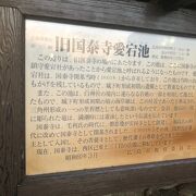 白神社の岩礁を利用してつくった池