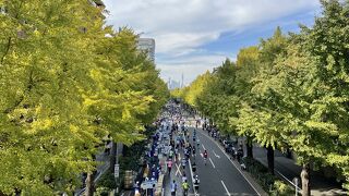 横浜マラソン開催中でした