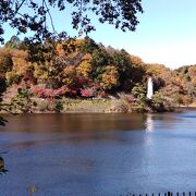 紅葉がきれい