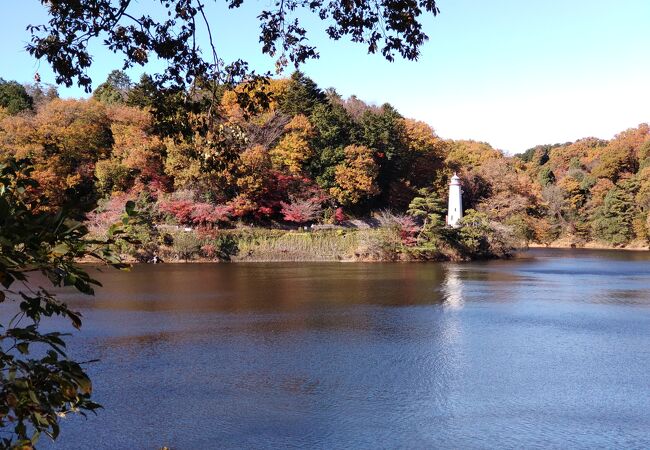 紅葉がきれい