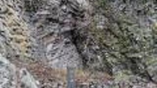 水平方向に柱状節理が発達、節理の断面がハート型もある。