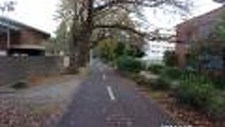 サイクリングロードとの整備されて緑道です。