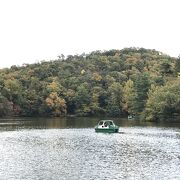 宝ケ池を中心に整備された自然豊かな公園