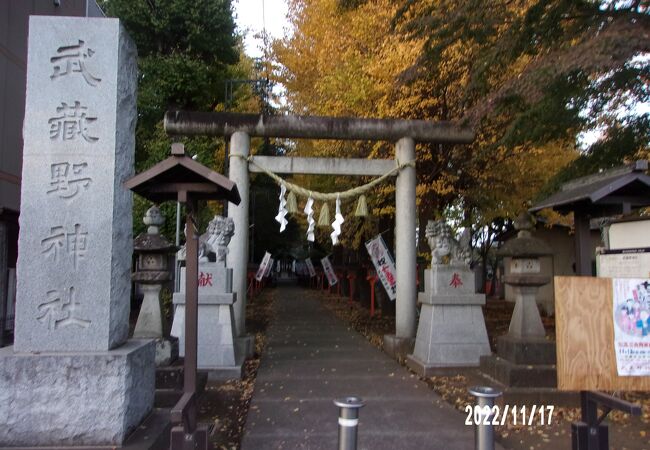 境内に猿田彦大神の像がある祠があります。