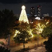 高さ約２０メートルのクリスマスツリーは圧巻