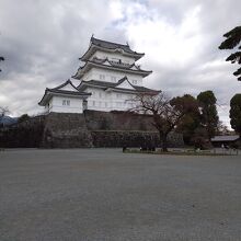 大きい天守閣ですね