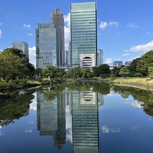 逆さビルビュー