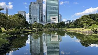 都会の癒し庭園