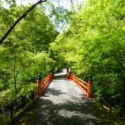 新緑が美しい今熊野観音寺