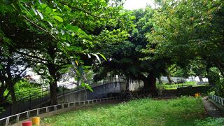 ちょっとした丘陵なので