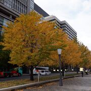 紅葉も綺麗だったＪＲ東京駅近くの通りでした。