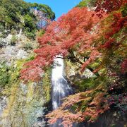 箕面駅から滝までかなり歩く