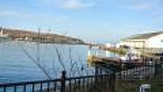 小樽港内遊覧船は夏季のみ。