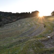 水が張っていない時期の、夕暮れ時は絵になりません（笑）