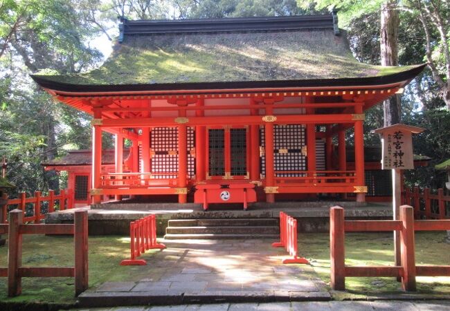 仁徳天皇そして応神天皇の若宮（子女）の神々を祀っているのね