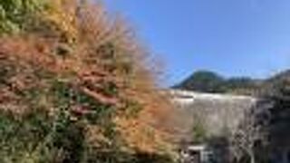 曲渕ダムパーク