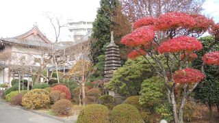 江厳寺