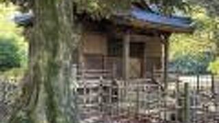 かなりこじんまりしています