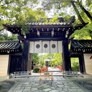 広大な敷地の中にある神社