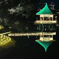 大濠公園 ウインターイルミネーション